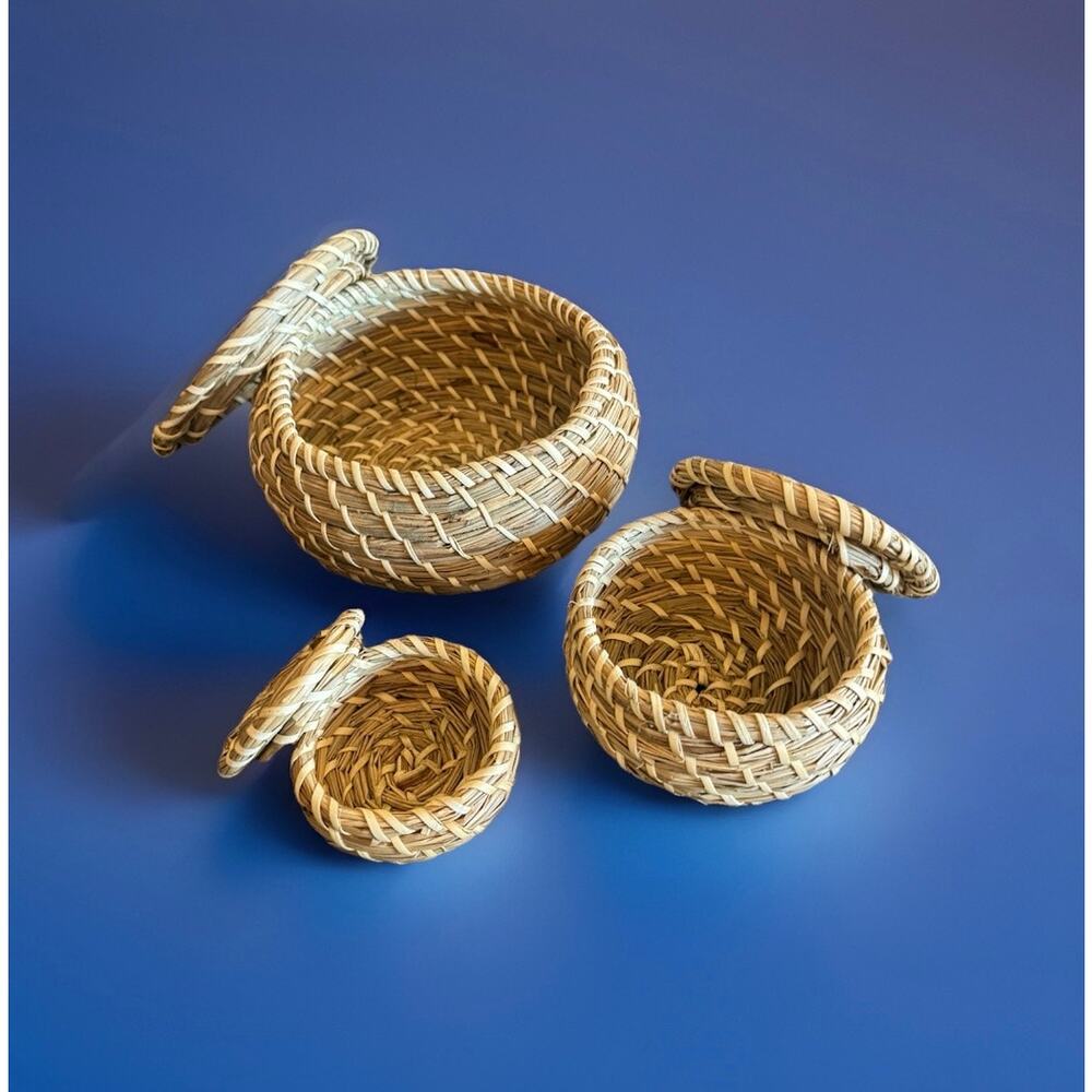 Set of 3 Handwoven Lidded Coiled Grass Baskets Nesting Storage